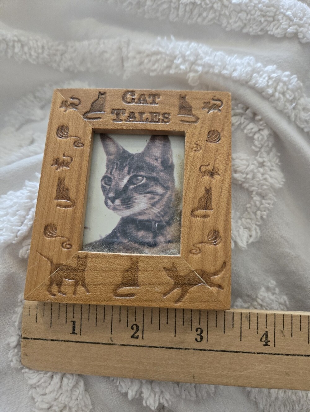 Wooden Cat Tales Picture Frame in Light Brown 3x3.5 Holds 1x2 Photo